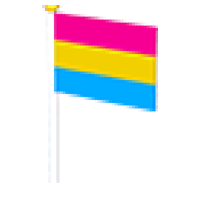 Pan Flag - Uncommon from Pride Event 2022